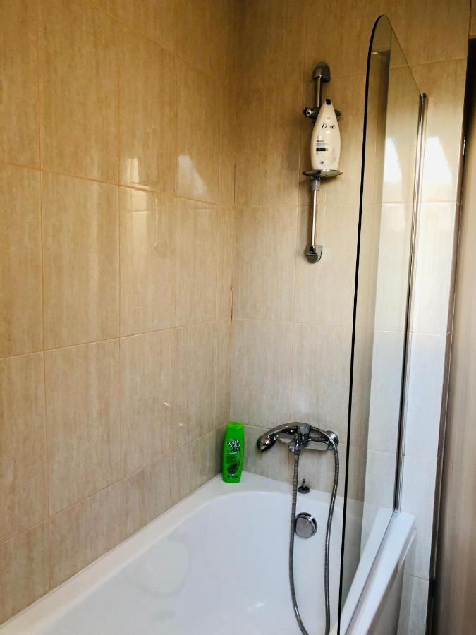 Ultra-Central Modern And Big Apartments In Union Square U41-U44 ティミショアラ エクステリア 写真
