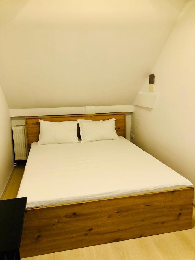 Ultra-Central Modern And Big Apartments In Union Square U41-U44 ティミショアラ エクステリア 写真