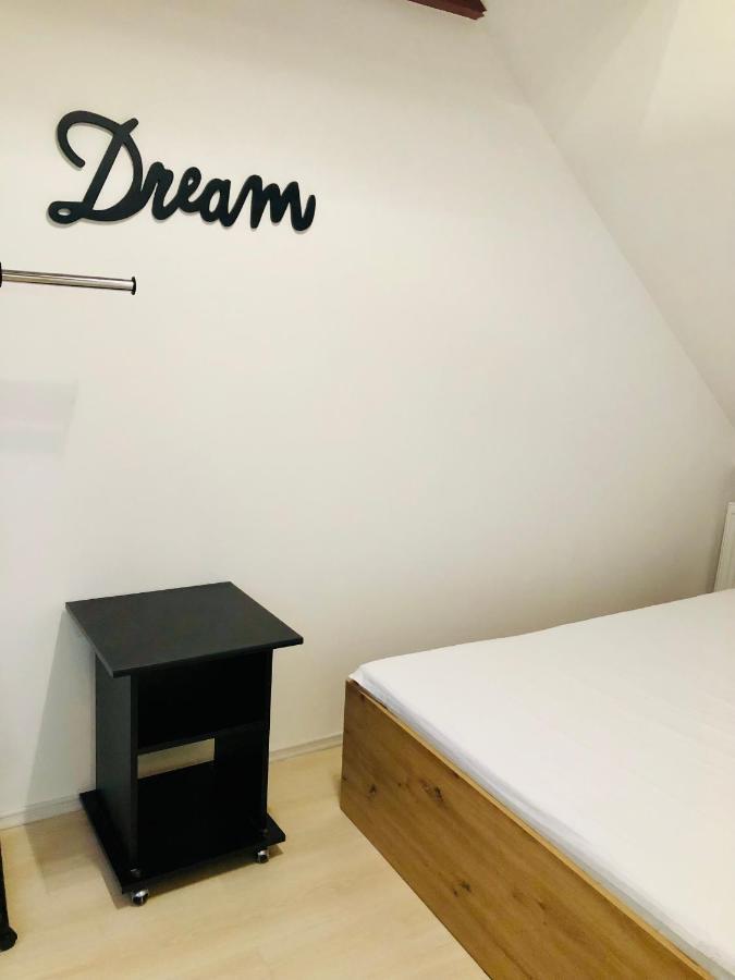 Ultra-Central Modern And Big Apartments In Union Square U41-U44 ティミショアラ エクステリア 写真