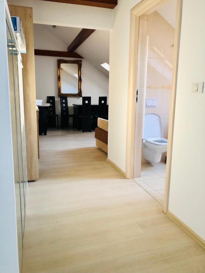 Ultra-Central Modern And Big Apartments In Union Square U41-U44 ティミショアラ エクステリア 写真