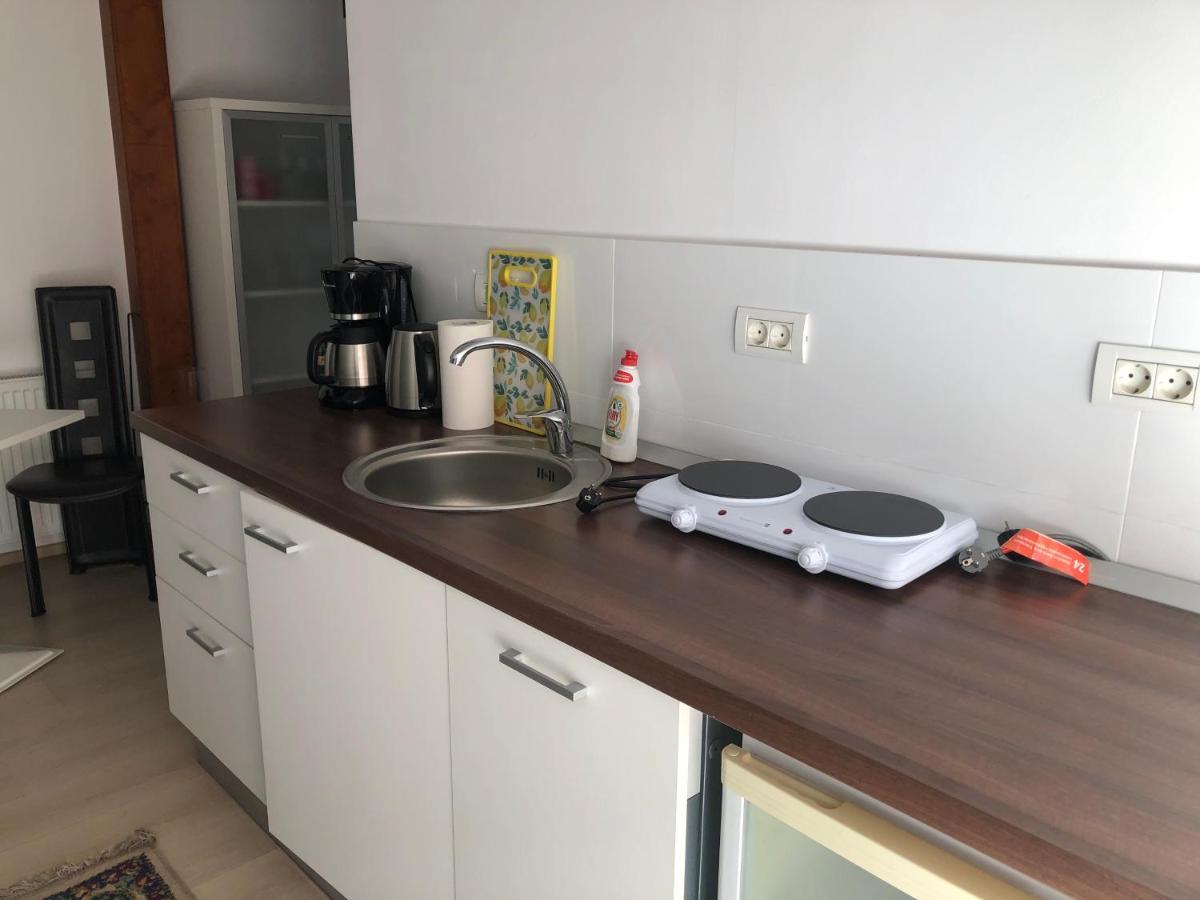 Ultra-Central Modern And Big Apartments In Union Square U41-U44 ティミショアラ エクステリア 写真