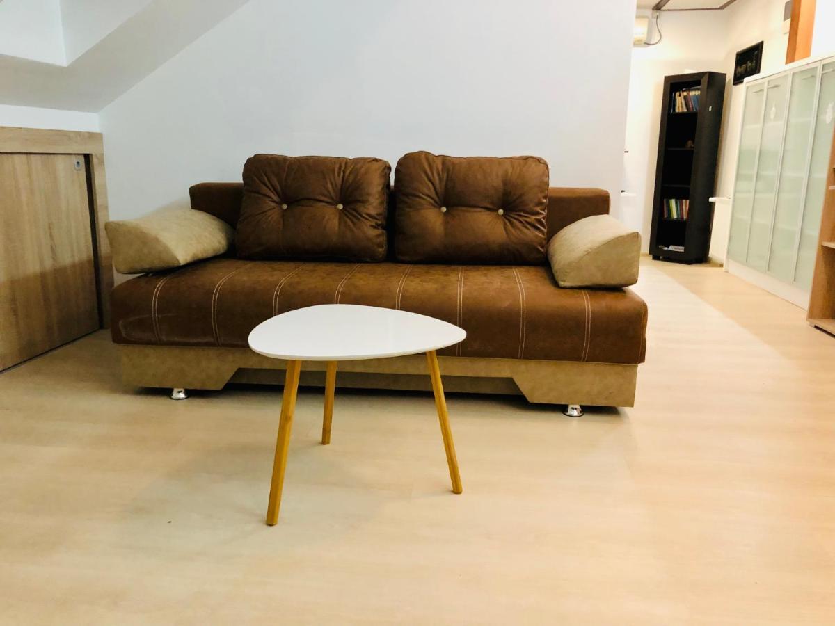 Ultra-Central Modern And Big Apartments In Union Square U41-U44 ティミショアラ エクステリア 写真
