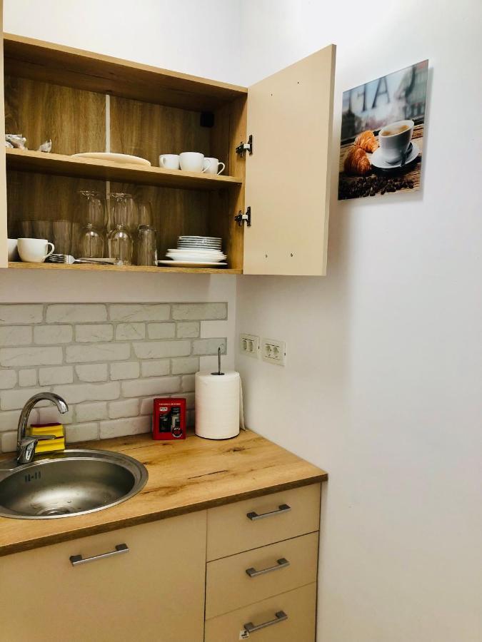 Ultra-Central Modern And Big Apartments In Union Square U41-U44 ティミショアラ エクステリア 写真
