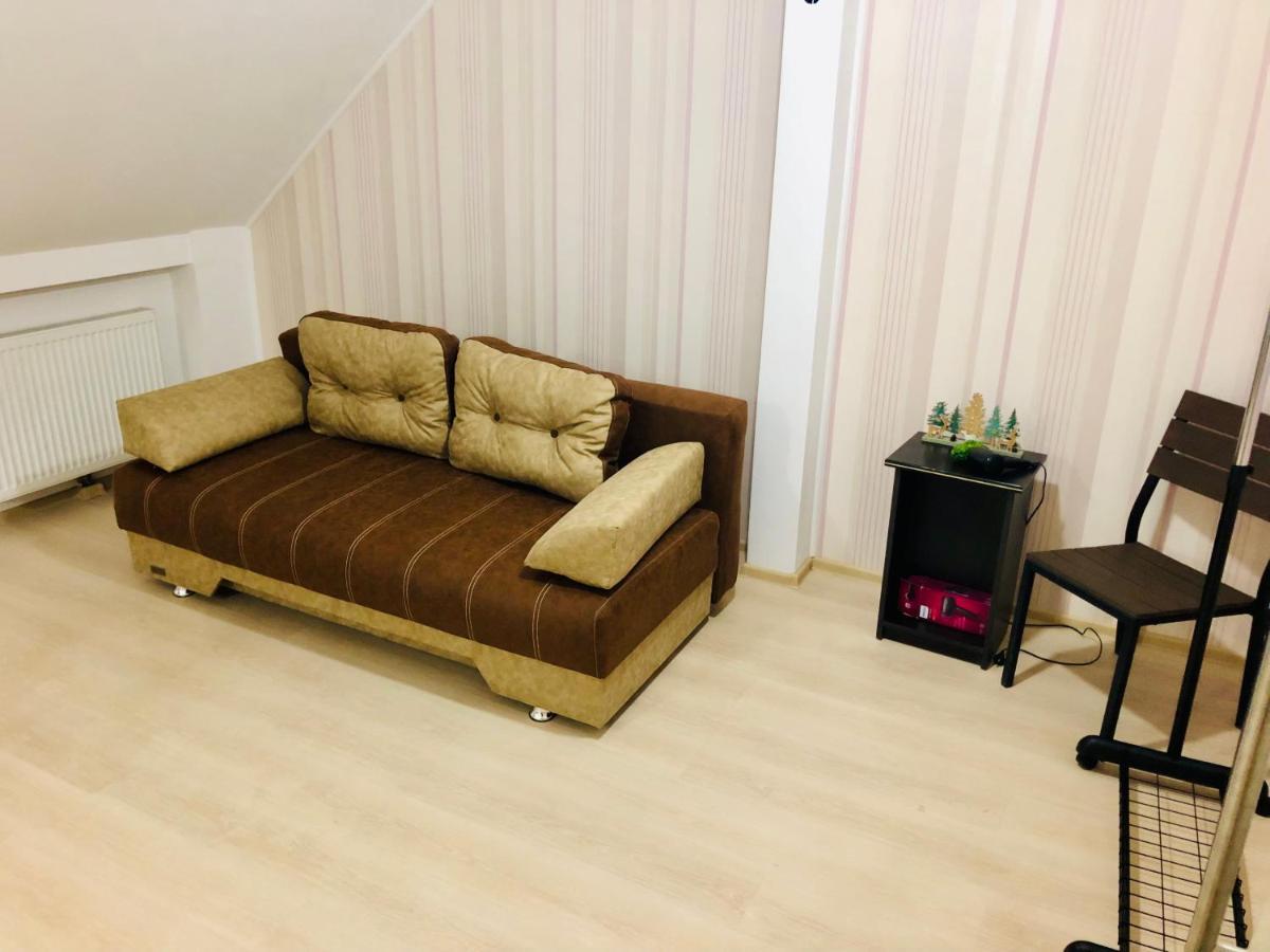Ultra-Central Modern And Big Apartments In Union Square U41-U44 ティミショアラ エクステリア 写真