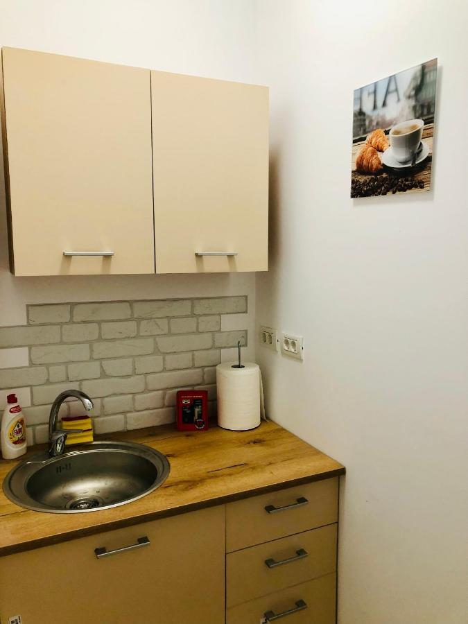 Ultra-Central Modern And Big Apartments In Union Square U41-U44 ティミショアラ エクステリア 写真