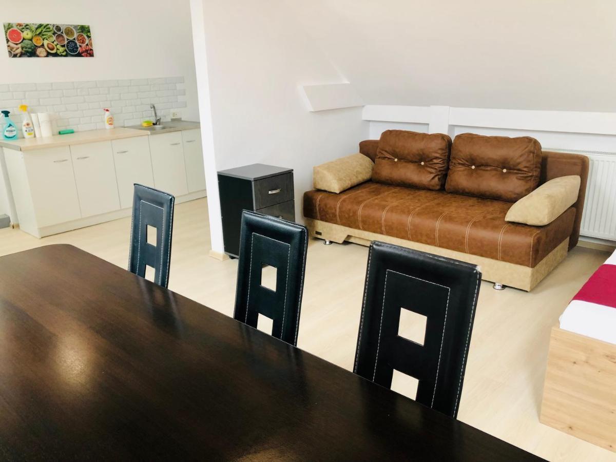 Ultra-Central Modern And Big Apartments In Union Square U41-U44 ティミショアラ エクステリア 写真