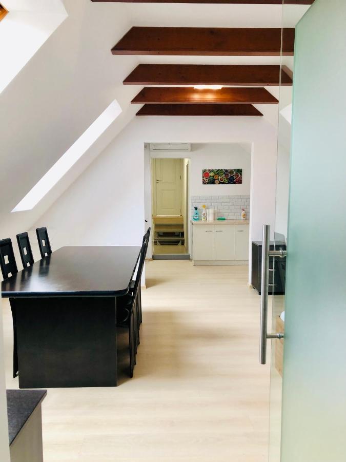 Ultra-Central Modern And Big Apartments In Union Square U41-U44 ティミショアラ エクステリア 写真