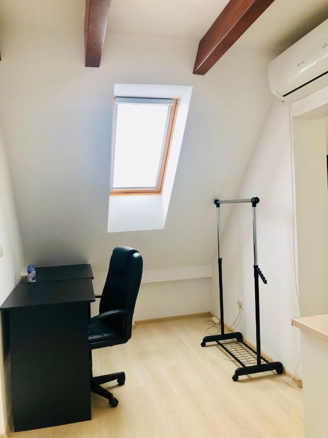 Ultra-Central Modern And Big Apartments In Union Square U41-U44 ティミショアラ エクステリア 写真