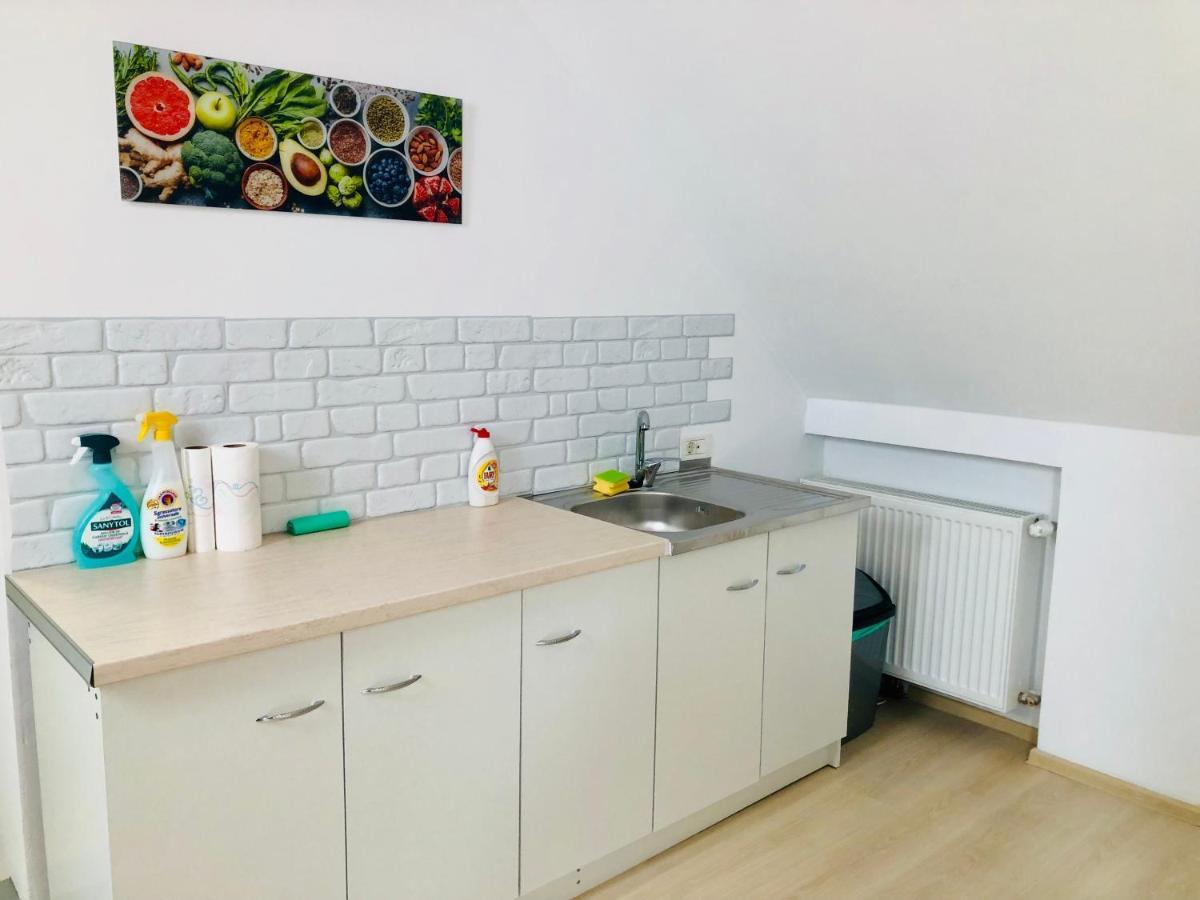Ultra-Central Modern And Big Apartments In Union Square U41-U44 ティミショアラ エクステリア 写真