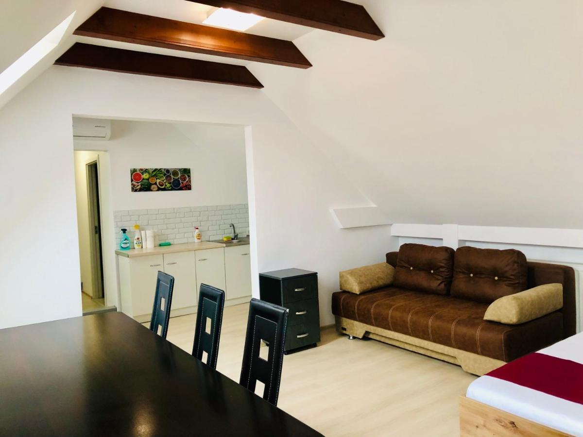 Ultra-Central Modern And Big Apartments In Union Square U41-U44 ティミショアラ エクステリア 写真