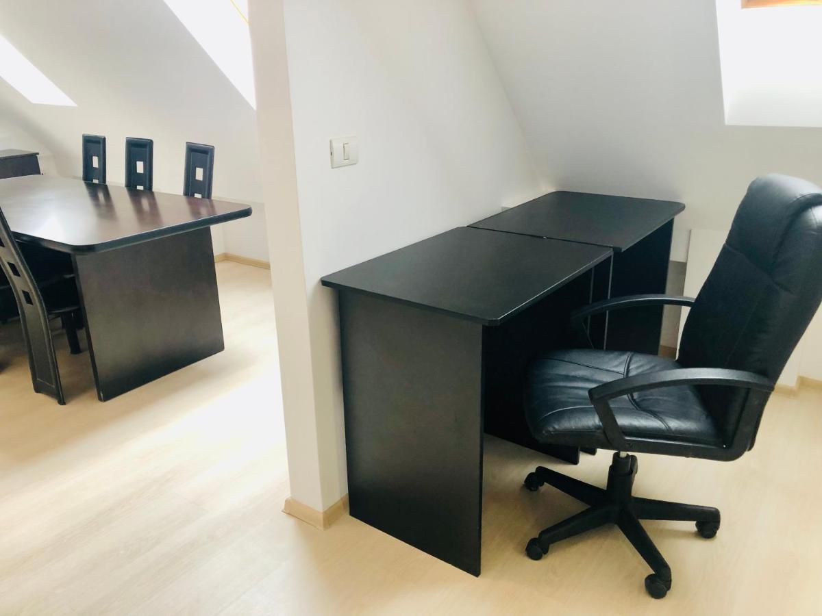Ultra-Central Modern And Big Apartments In Union Square U41-U44 ティミショアラ エクステリア 写真