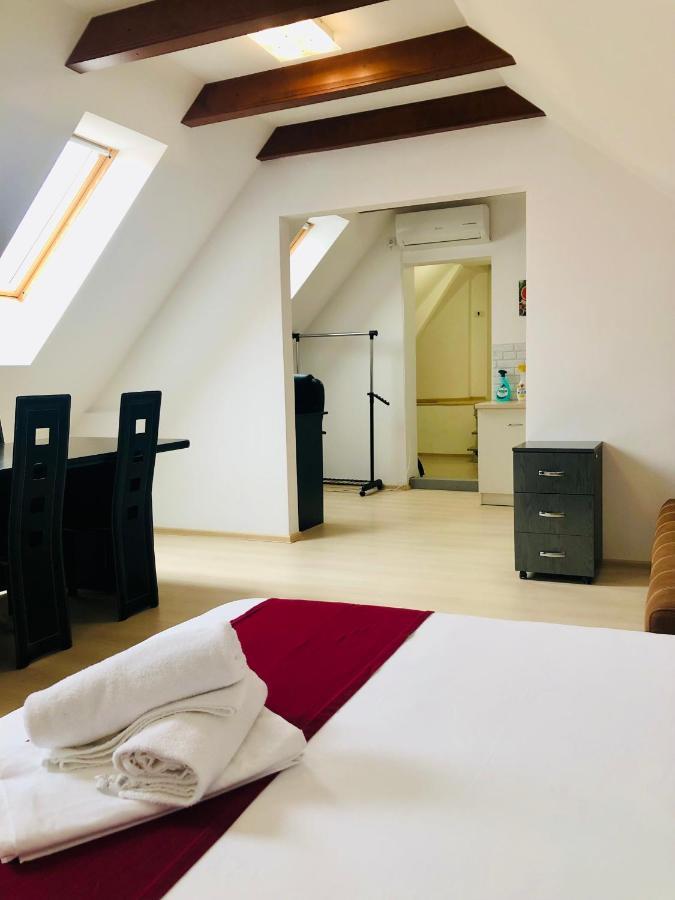 Ultra-Central Modern And Big Apartments In Union Square U41-U44 ティミショアラ エクステリア 写真
