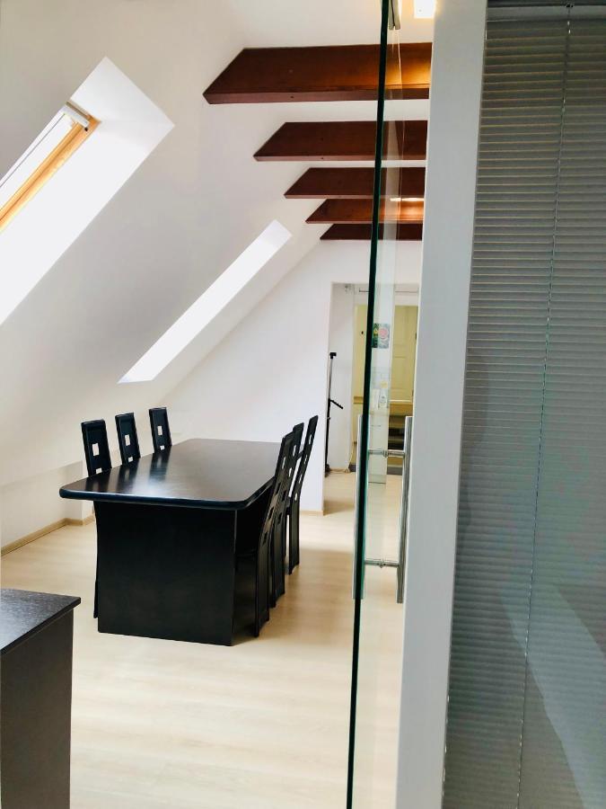 Ultra-Central Modern And Big Apartments In Union Square U41-U44 ティミショアラ エクステリア 写真